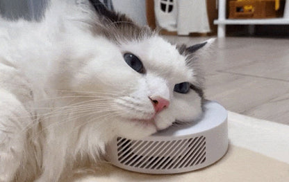 PURRAIR2 動作イメージ 2
